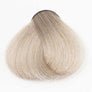 Kleur 10.1 - As platinablond 10.1 - As platinablond