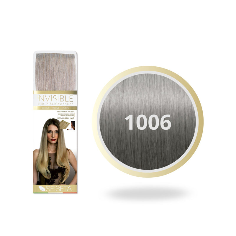 Seiseta kleur 1006 - Zilver