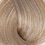 Kleur 9.01 - Natuurlijk as zeer lichtblond 9.01 - Natuurlijk as zeer lichtblond