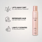 CHI Prof RT Dry Shampoo 150gr