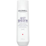 Goldwell DS just smooth shampoo 250ml